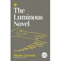 The Luminous Novel