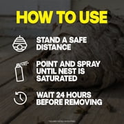 Raid Wasp & Hornet Killer Spray, 22 Ft Jet Spray Nest Killer, Outdoor, 17.5 oz