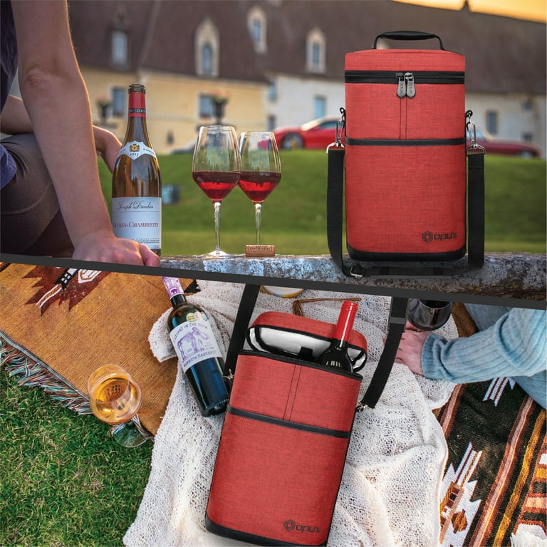 Gift bag for 2 bottles of wine hotsell