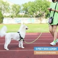thumbnail image 7 of 5 ft Dog leash with comfortable padded handle and highly reflective wires Dog leashes-Green, 7 of 7