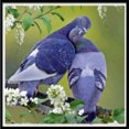 thumbnail image 1 of Pintura de diamante 5D de 30 x 40 cm, pintura de diamante para dormitorio, diseño de pájaro azul, lienzo de diamantes de imitación, pintura de punto de cruz por número para decoración de pared, adulto, 1 of 5