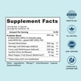 thumbnail image 4 of Suplemento Provitalize Probiotics Women de BB Company, 60 unidades, 4 of 9