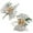 As Shown, variant on LABSERRON Wrist Corsage and Boutonniere Set White Plastic 2Pcs for French Themes