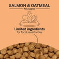 thumbnail image 2 of CANIDAE PURE Puppy with Wholesome Grains Dry Dog Food Salmon & Oatmeal, 4 lb, 2 of 8