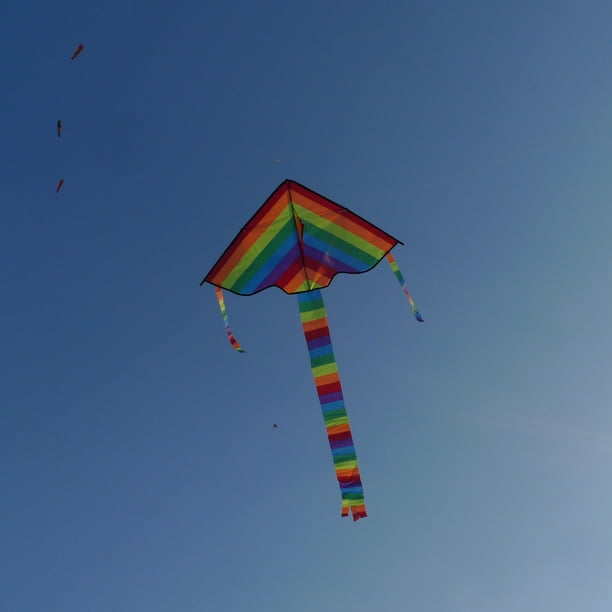 Cometa colorida del arco iris, cometas al aire libre de nailon de cola larga, juguete volador para niños Likrtyny juguetes de los niños