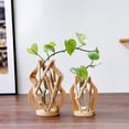 thumbnail image 1 of Decoración hogareña Gwong Terrarium siembra de tubo de ensayo hidropónico Botella de madera Vintage Marco de madera transparente Tubo de ensayo Jarrón para sala de estar Gwong 21079353, 1 of 6