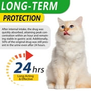 Oimmal Natural Antibiotics for Cats Liquid, Help with Anti Inflammatory & Bacterial &Viral & Fungal, Dietary Supplement for Cat - 2 fl oz(60 ml) - Chicken Flavor