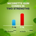 thumbnail image 6 of (2 pack) Nicorette Nicotine Gum, Stop Smoking Aids, 4 Mg, Fresh Mint, 170 Count, 6 of 22