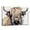 Highland Cow - 3, variant on ZHONGYUTONG Highland Cattle Animal Canvas Wall Art Cow Pictures Wall Decor Abstract Animals Painting Print Bathroom Decor Framed (12.00" x 18.00")