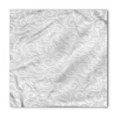 thumbnail image 1 of Grey Bandana, Abstract Curly Leaves, Unisex Head and Neck Tie, by Ambesonne, 1 of 2