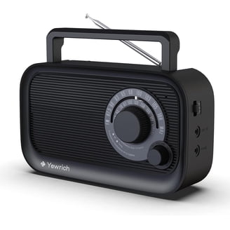 SANSUI F28 Mini Elderly FM Radio Outdoor Wireless Bluetooth