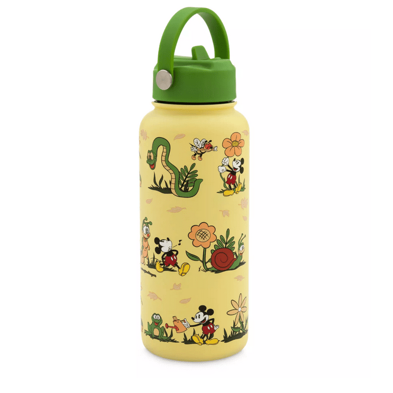 Disney Parks Stainless Steel Water Bottle