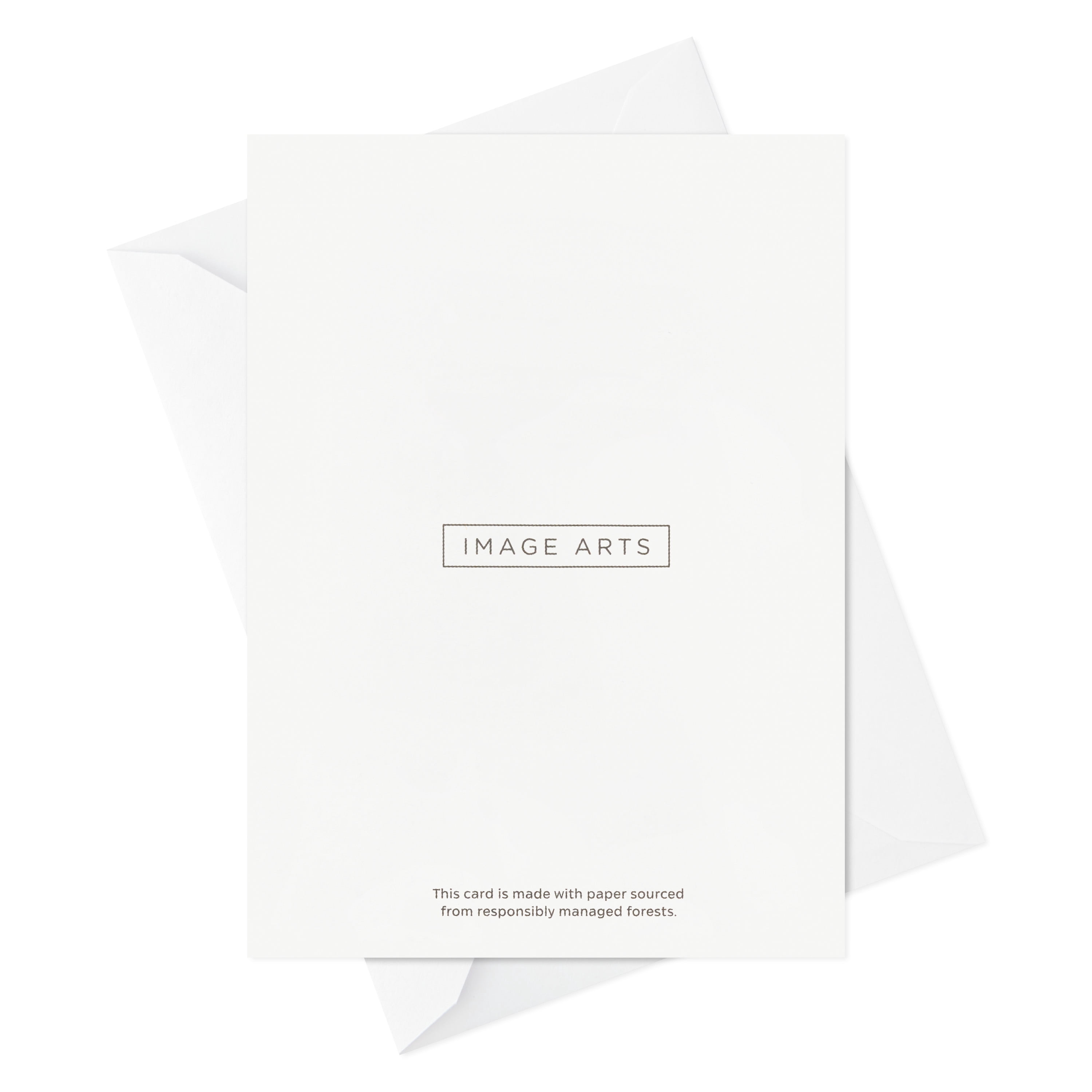 Image Arts Thank-You Notes (Colorful Thanks), 4 Ct.