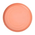 thumbnail image 2 of Dog Dishes, Whisker Friendly Shallow Dog Bowls, Flat Plates for Wet & Dry Food and Water Bowls, Relief Whisker Fatigue _ Orange, 2 of 6