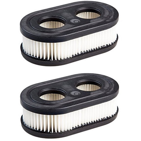 Briggs & Stratton Genuine OEM 798452 Oval Air Filter Cartridge (2 Pack)