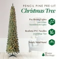 thumbnail image 3 of Home Heritage Stanley 9' Pine Artificial Christmas Tree, PreLit 500 Clear Lights, 3 of 8