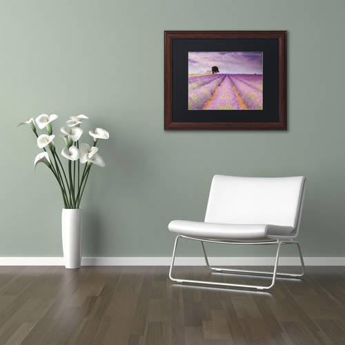 Trademark Fine Art 'Stone House' Canvas Art by Michael Blanchette Photography, Black Matte, Wood Frame