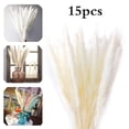 thumbnail interactive-video image 1 of Natural Dried Flower Bouquet – Pampas Grass Bunch – 60 Stems, 17.7 Inches – Beige/Brown/White – Wedding Home Decor 1 of 4