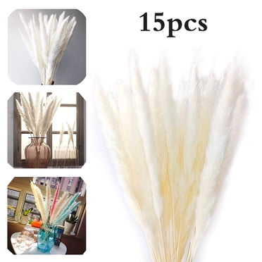 Natural Dried Flower Bouquet – Pampas Grass Bunch – 60 Stems, 17.7 Inches – Beige/Brown/White – Wedding Home Decor