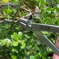 thumbnail image 4 of 6-Piece Bonsai Tool Set,Concave Cutter,Knob Cutter,Jin Pliers,Wire Cutter,Bonsai Scissors, Root Hook, 4 of 8