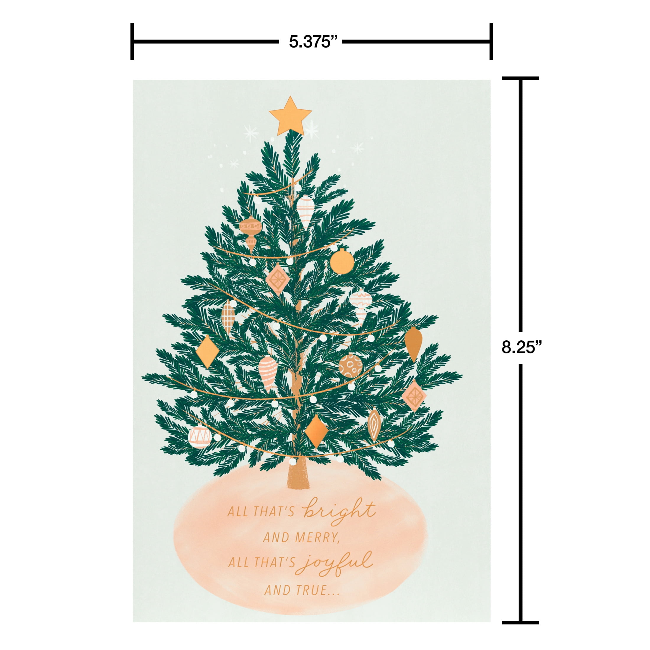 American Greetings Christmas Card (Wished This Holiday Season)