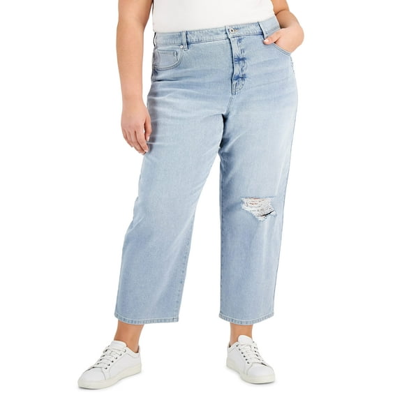 Style & Co Plus Size High Rise Mom Jeans Jamestown 22W