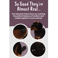 thumbnail image 3 of Juguete para perros Living Nature Dachshund, de felpa suave y realista, 20 cm, 3 of 6