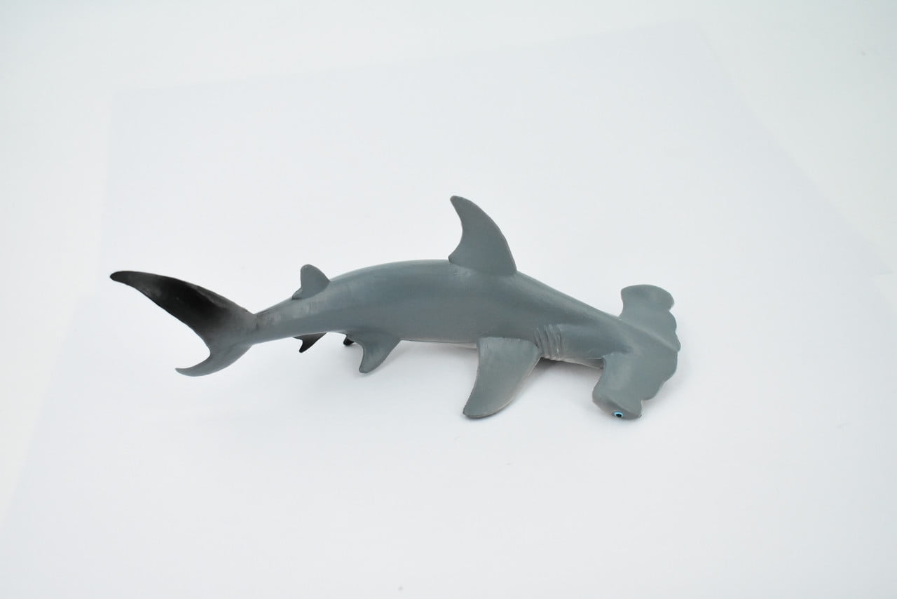 邦楽 Hammer Head Shark BYE MY NAKED 邦楽 Hammer Head Shark - BYE MY NAKED Hammer Head Shark |