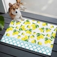 thumbnail image 3 of 2x3 Ft Entryway Area Rug, Yellow Lemon Kitchen Rug Runner Washable Floor Mat, Farmhouse Summer Botanical Watercolor Non Slip Indoor Door Mat Throw Carpet for Bathroom Living Room Bedroom, 3 of 8