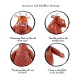 thumbnail image 4 of Figura de juguete ¡GUAU! STUFF Gruffalo & Mouse, paquete doble de 15 cm, 4 of 8