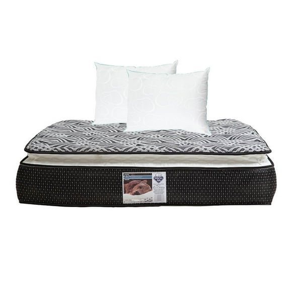 Colchón Matrimonial + Almohadas Spring Air Omega