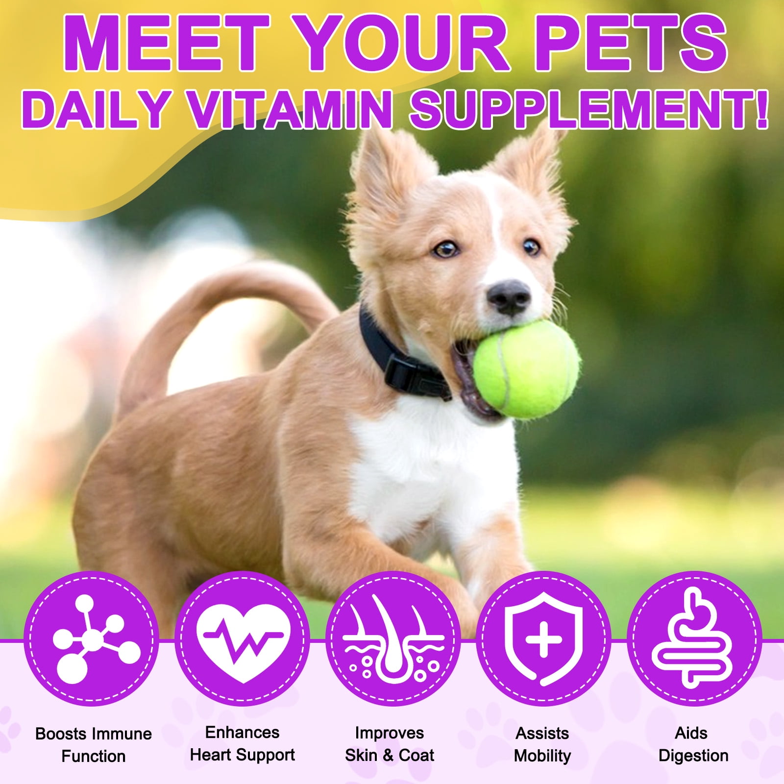 Oimmal 15-in-1 Multivitamin Chewable Tablets for Dogs, Glucosamine and Fish Oil (EPA 18% & DHA 12%) Support for Joint & Heart Health, Aiding Digestion, Immune System Support 180P*2