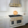 thumbnail image 4 of Akicon 48" Slide-in Freestanding Professional Style Gas Range with 6.7 Cu. Ft. Oven, 8 Burners, Convection Fan, Cast Iron Grates, & Blue Porcelain Oven Interior, In Stainless Steel with Gold, 4 of 6