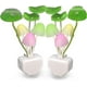 thumbnail image 1 of 2 Pack Plug In Led Mushroom Night Light Lamp With Dusk To Dawn Sensor Cut Color Changing Bed Nightlight Led Wall Light, 1 of 5