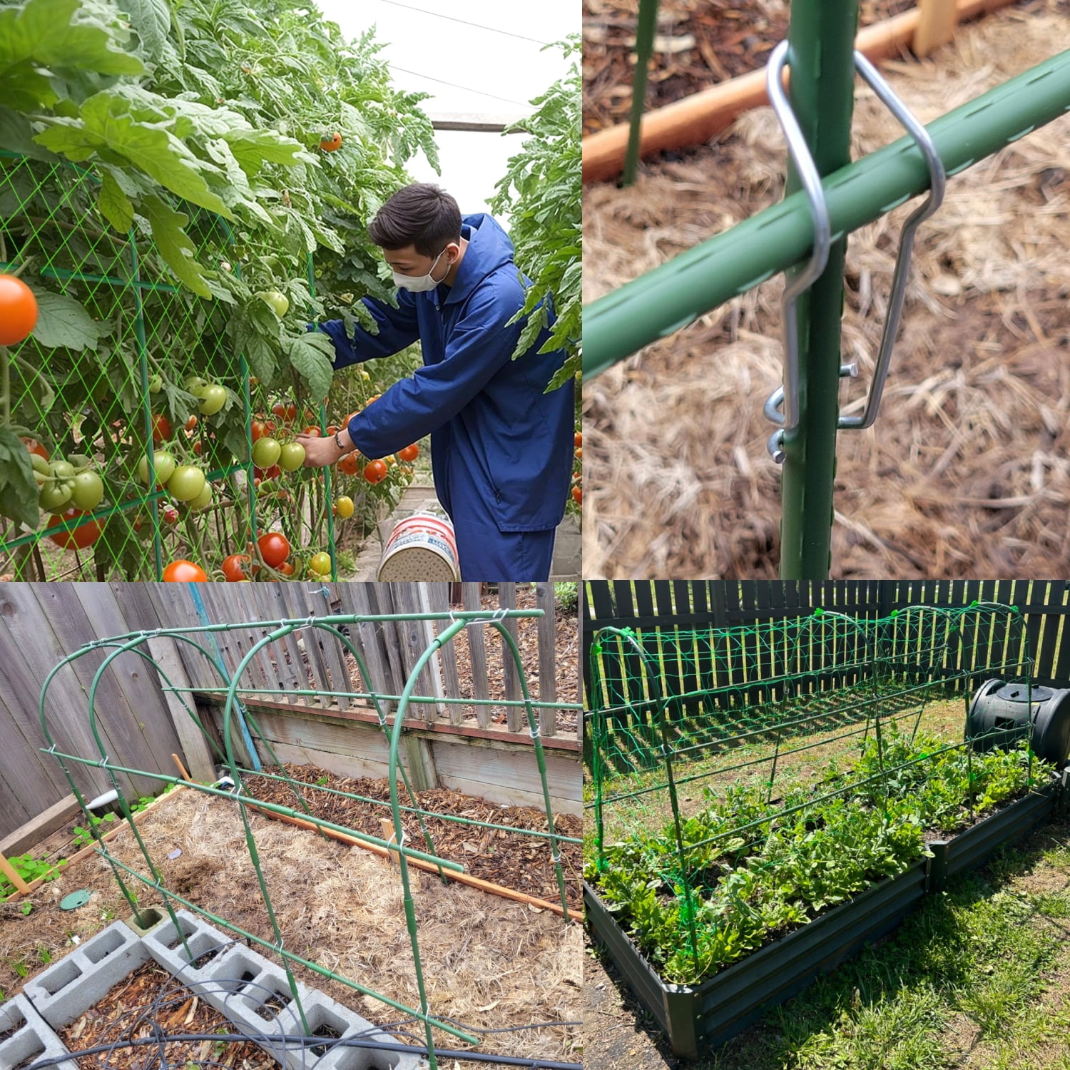 ROMUCHE 63"x48" Cucumber Trellis,Garden Arch Trellis for Climbing Plants Steel Plant Support Trellis for Flower Vine Grape Vegetable Plant Climbing Trellis for Melon Tomato Bean w/Netting