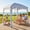 Starfish Shell, variant on Dozzle UPF 50+ Full Protection, 6x6ft Large Beach Tent, Spacious Canopy for Whole Family, Removable Side Curtain, Instant Setup Sun Shelter, Collapsible Cabana, Starfish Shell