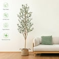 thumbnail image 2 of Artificial Olive Tree FT Tall Faux Silk Plant for Home Office Decor Indoor Fake Potted Tree with Wood Branches and Fruits, 2 of 8