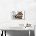 thumbnail image 2 of ARTCANVAS Maine Coon Male Cat Home decor Canvas Art Print - Size: 18" x 12" (0.75" Deep), 2 of 9