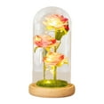thumbnail image 2 of JilgTeok Travel Essentials Valentine'S Day Gift Led Night Light 3 Rose Glass Lampshade Ornaments, 2 of 6