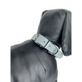 thumbnail image 4 of Vibrant Life Medium Dog Collar, Grey, 4 of 6