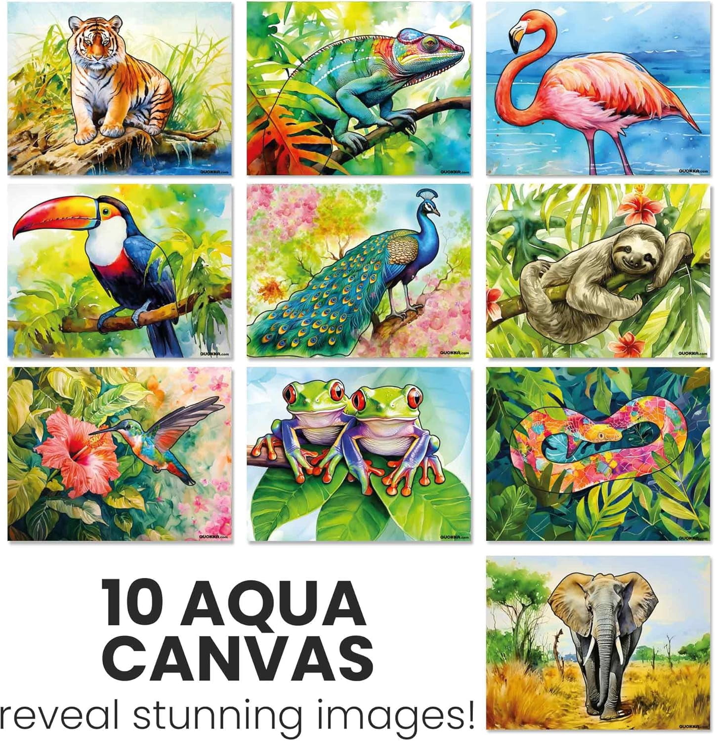 Quokka Dementia Activities for Seniors - Water Painting Alzheimers Products for Elderly - Reusable Activity Kits - Tropics Wildlife Relaxing Set