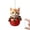 1, variant on WAXCMXYH Christmas Tree Hanging Ornaments 2D Acrylic Cat Shaped UK Pendants Decor