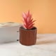 thumbnail image 1 of Maceta de plástico con corteza de árbol artificial para interior y exterior, ideal para suculentas, hierbas y cactus. Disponible en 4 colores., 1 of 5