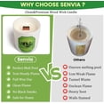 thumbnail image 3 of MINSUI-Crackling Wood Wick Candle, Best Non Toxic Clean Citrus Scented Candle for Home, Long Lasting Strong Scent for Small to Medium Rooms, Stress Relief, Clean Burn, Lead-Free, 3 of 3