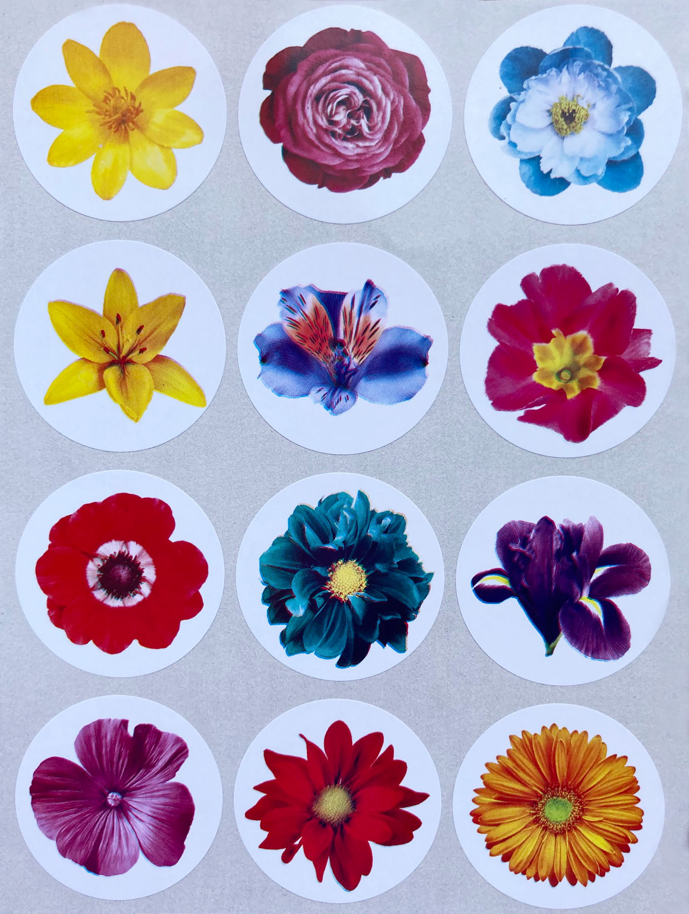 Realistic Flower Stickers for Arts and Crafts 120 / Multicolor