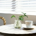 thumbnail image 5 of Zehuanyu  8 Pcs Terrarium Container Ecological Bottle Clear Transparent, 5 of 8