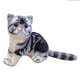 thumbnail image 1 of Gatos de colección de muñecas de animales linda figura adorable peluche animal gato juguete para niñas niños adultos, 1 of 8
