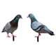 thumbnail image 4 of Esculturas de palomas para jardín, estacas decorativas para exteriores, figuras de aves en metal, 4 of 9