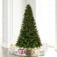 thumbnail image 3 of Vickerman K224195 14 ft. x 106 in. Douglas Fir 10169T Christmas Tree, 3 of 11