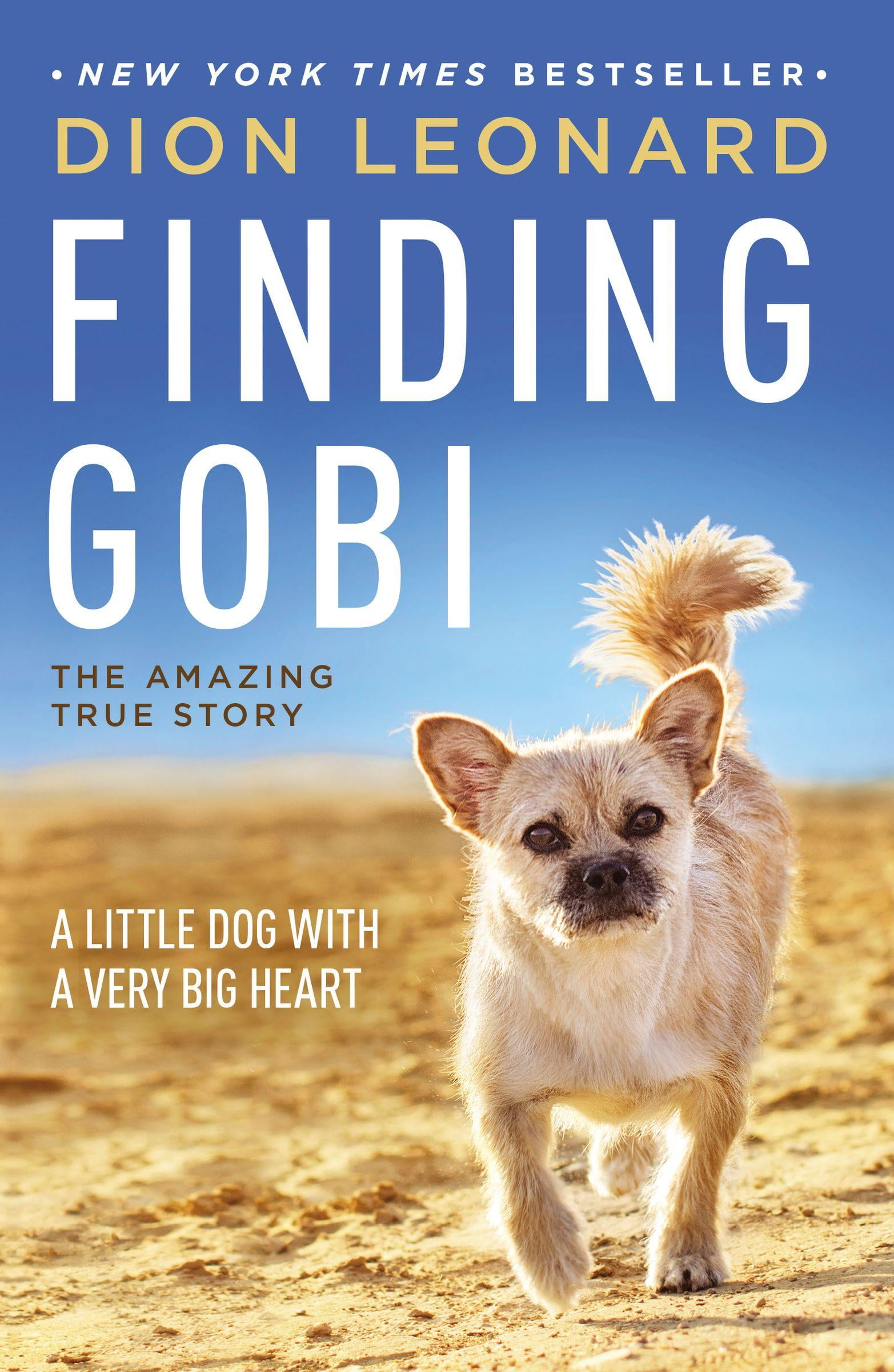 finding gobi book